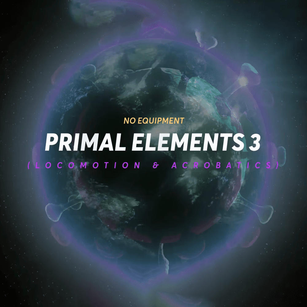 Primal Elements 3